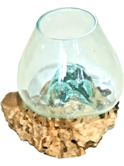 25cm Wurzelholz mit Glas